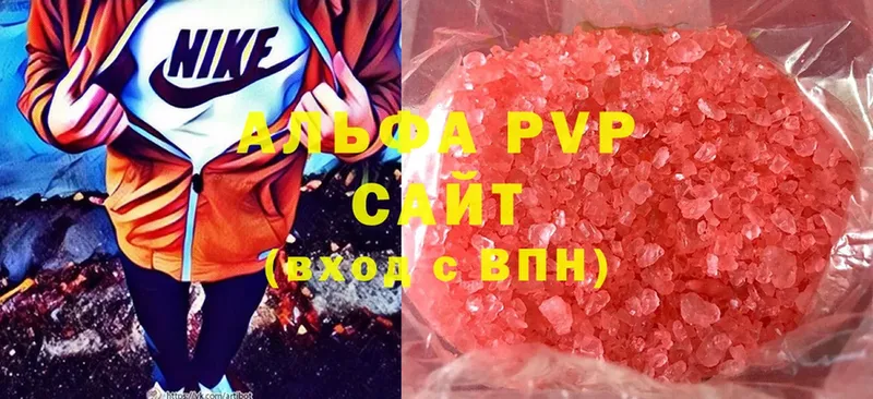 A PVP СК  Грозный 