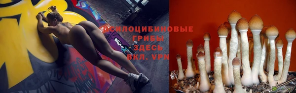 МДМА Горняк