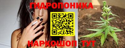 Альфа ПВП Гай