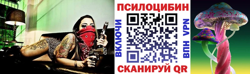 купить наркоту  Грозный  ОМГ ОМГ ONION  Псилоцибиновые грибы Cubensis 