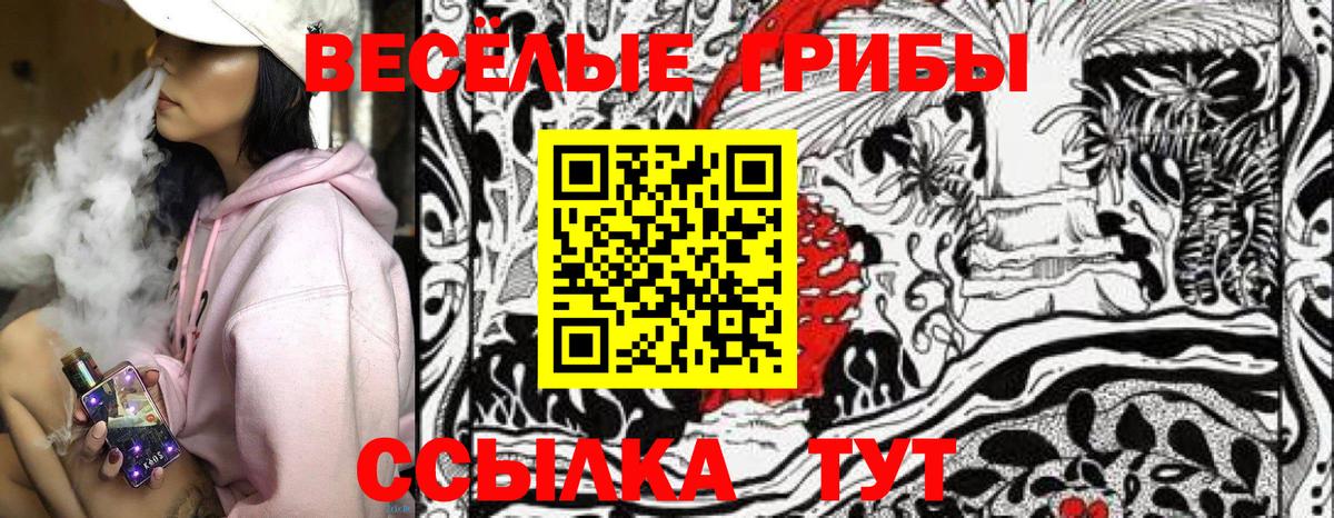 Псилоцибиновые грибы Magic Shrooms Грозный