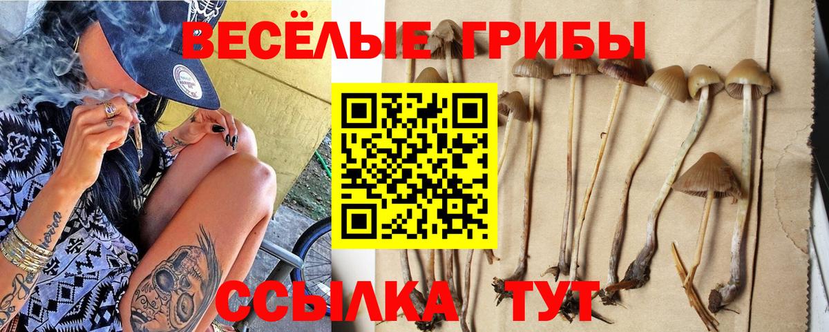 Галлюциногенные грибы мухоморы Грозный