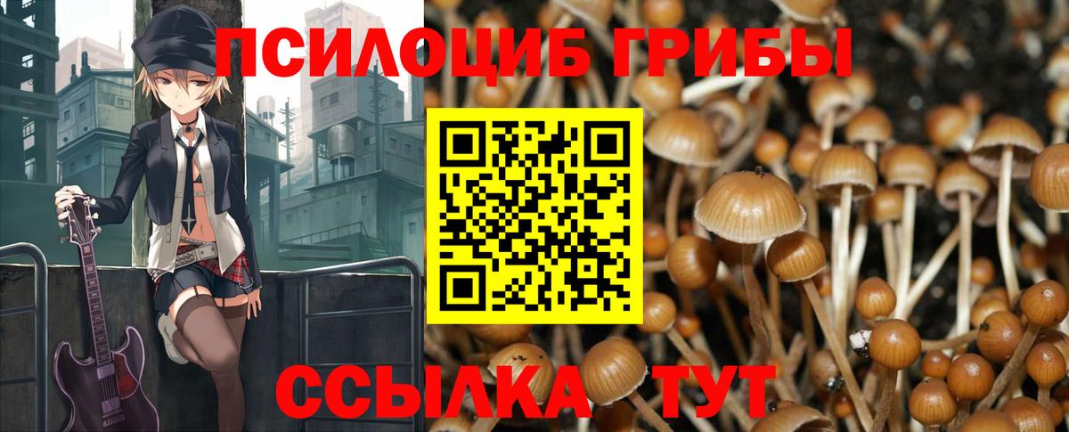 Грозный  дарнет шоп  Вход с VPN  Псилоцибиновые грибы MAGIC MUSHROOMS 